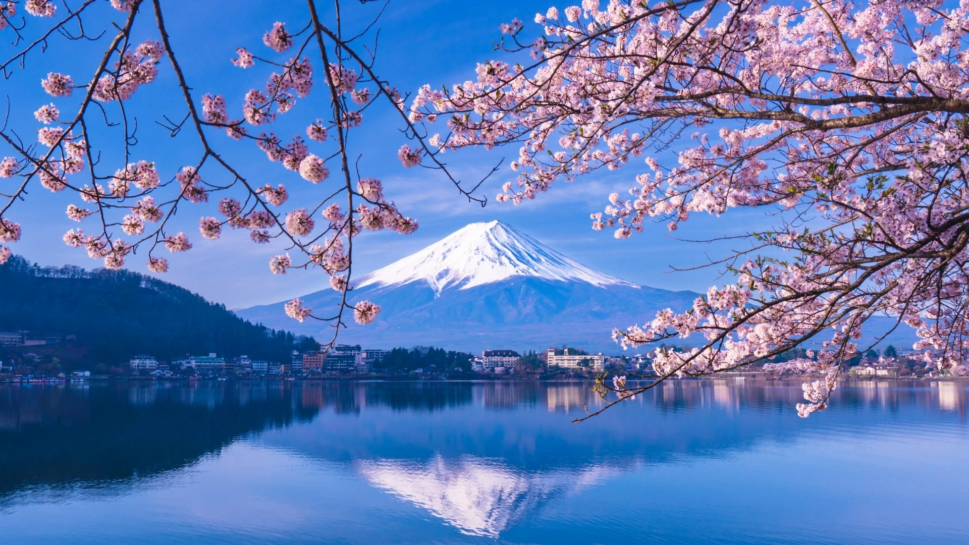 Atractivo turístico en VIVIENDO ASIA AL COMPLETO 4
